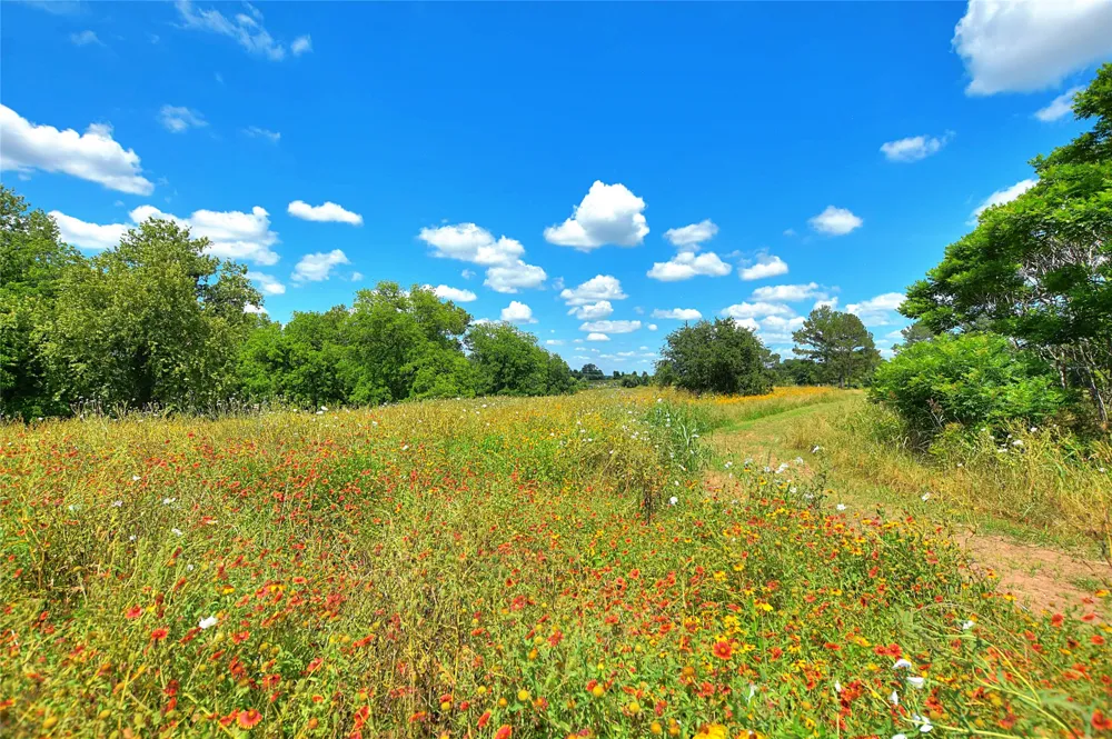 807 Colorado Drive Smithville, TX 78957