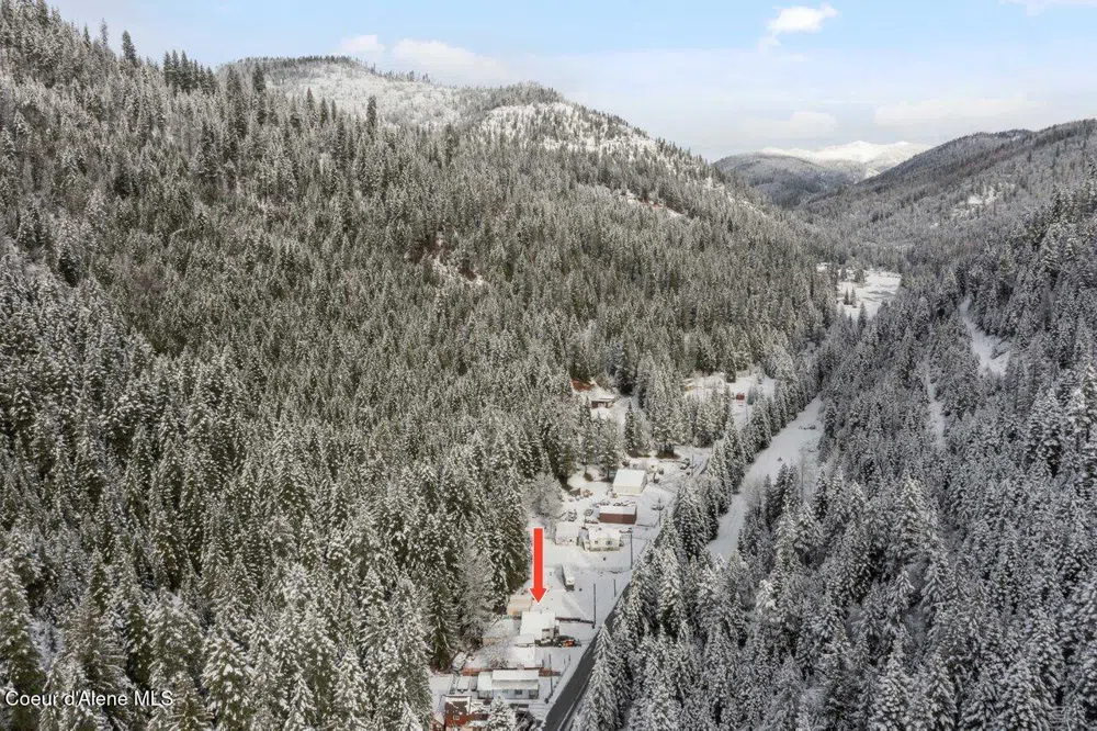 741 9 Mile Creek Road Wallace, ID 83873