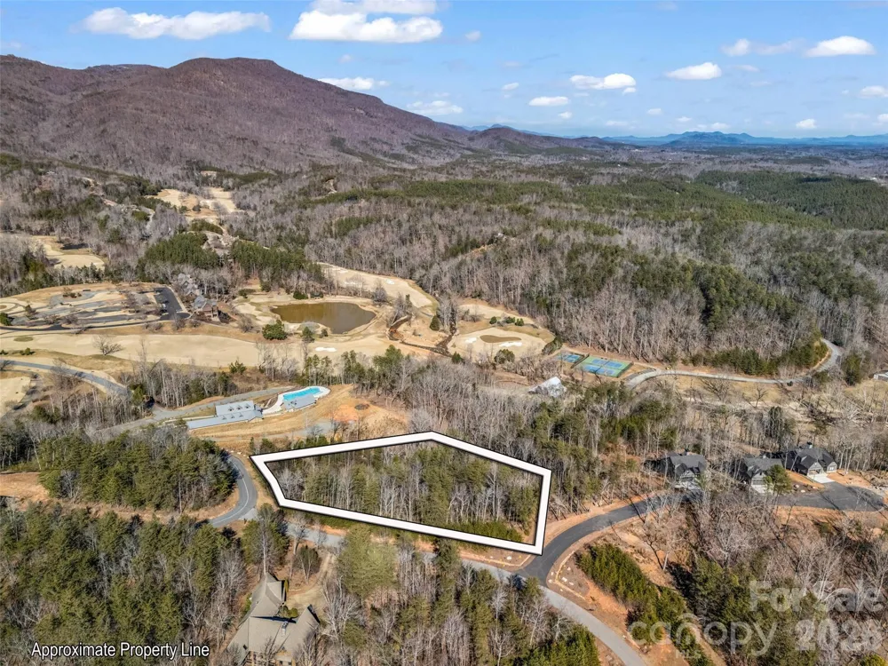 2002 Deep Gap Farm Road E Mill Spring, NC 28756