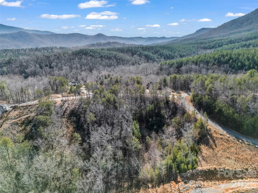 2002 Deep Gap Farm Road E Mill Spring, NC 28756