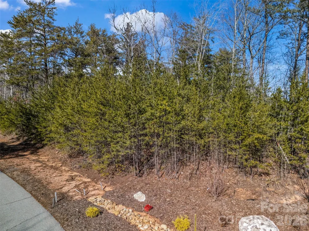 2002 Deep Gap Farm Road E Mill Spring, NC 28756