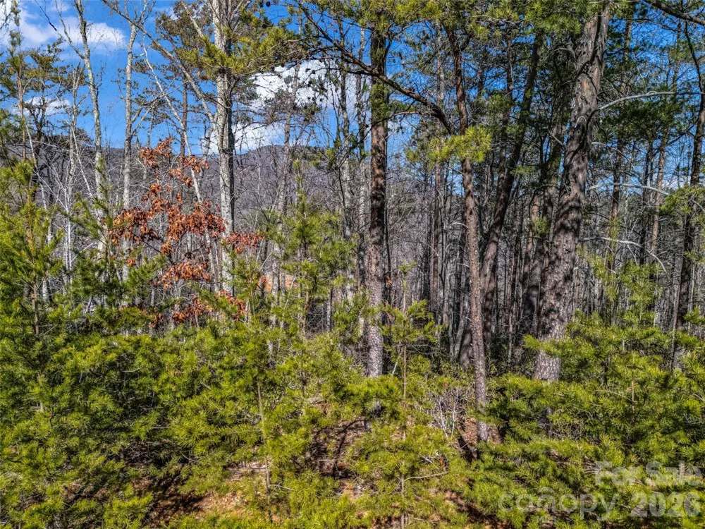 2002 Deep Gap Farm Road E Mill Spring, NC 28756