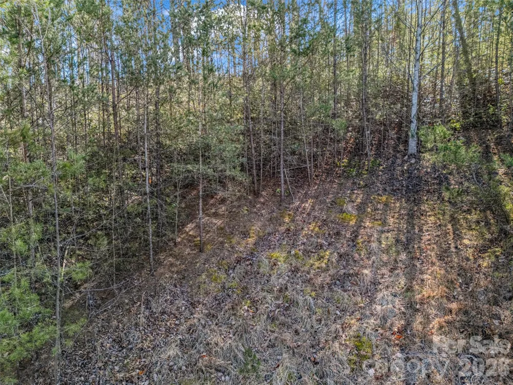 2002 Deep Gap Farm Road E Mill Spring, NC 28756