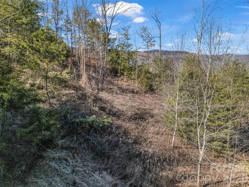 2002 Deep Gap Farm Road E Mill Spring, NC 28756