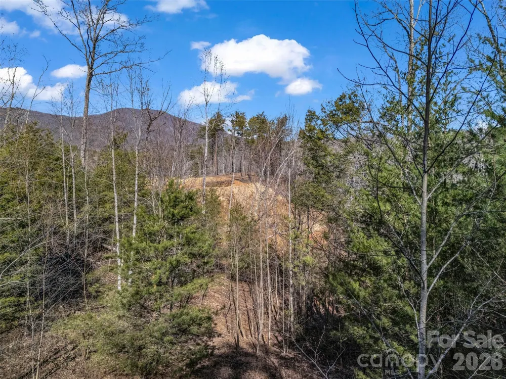 2002 Deep Gap Farm Road E Mill Spring, NC 28756