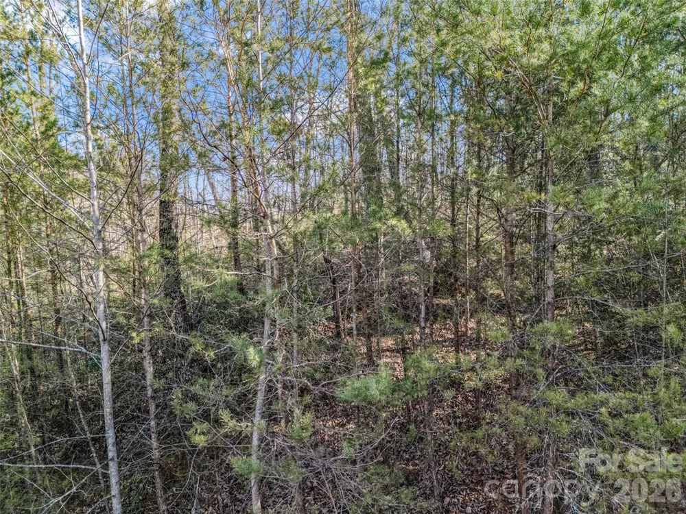 2002 Deep Gap Farm Road E Mill Spring, NC 28756
