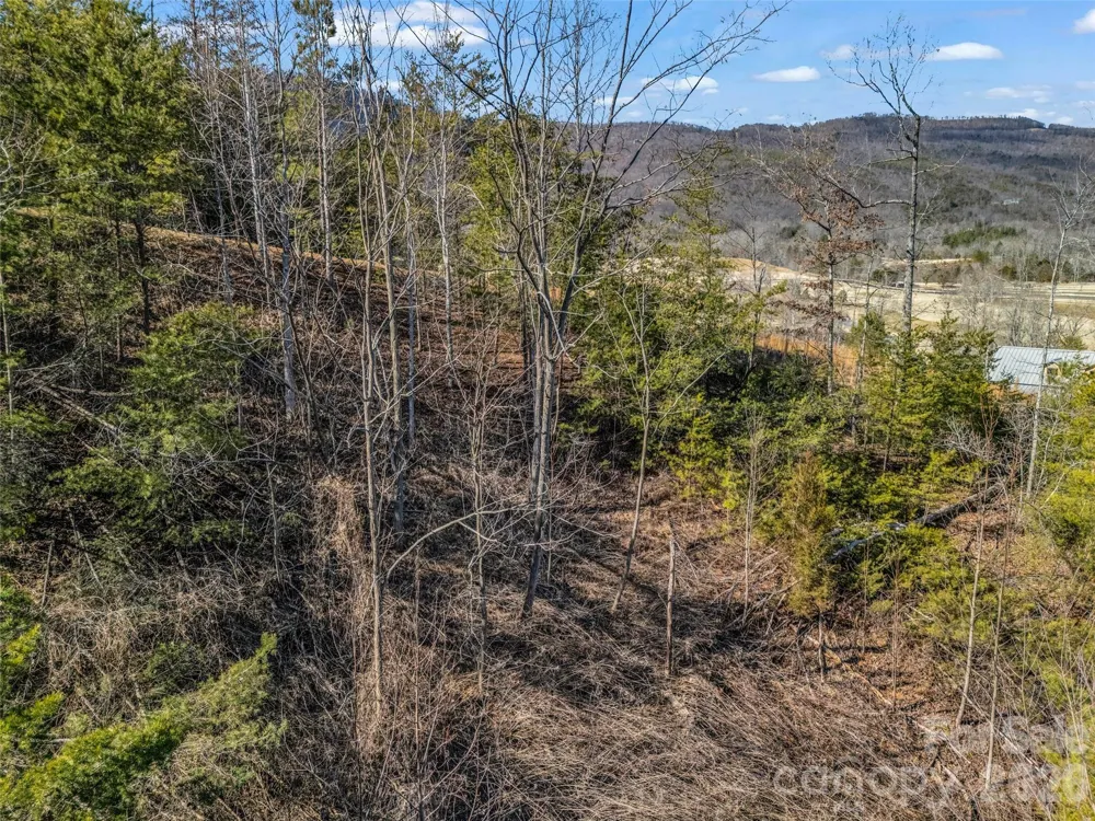 2002 Deep Gap Farm Road E Mill Spring, NC 28756