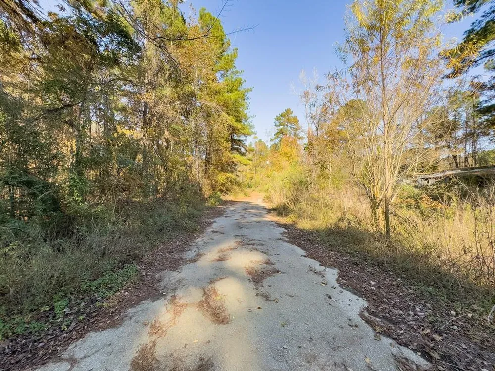 81455 Walnut Street Huntington, TX 75949