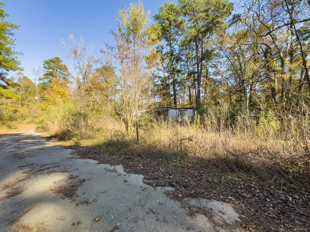 81455 Walnut Street Huntington, TX 75949