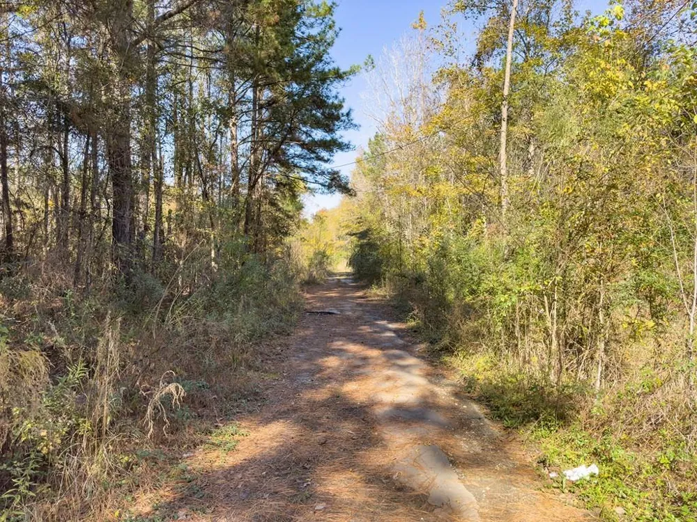 81455 Walnut Street Huntington, TX 75949
