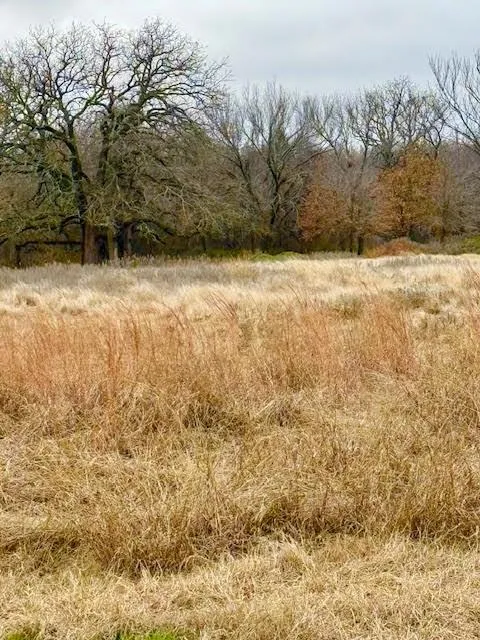 702 County Road 3597 Boyd, TX 76023