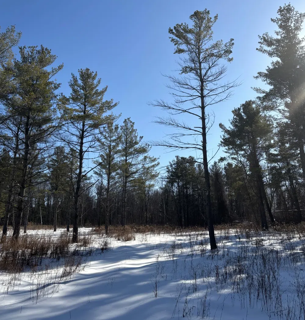 S US-31 Elk Rapids Township, MI 49629
