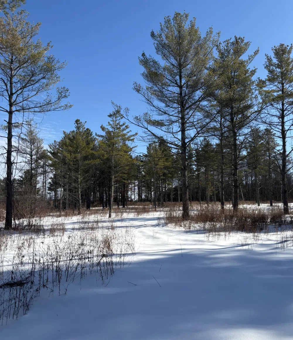 S US-31 Elk Rapids Township, MI 49629