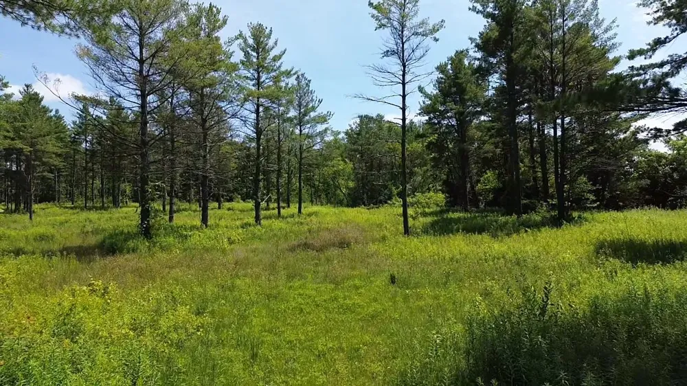 S US-31 Elk Rapids Township, MI 49629
