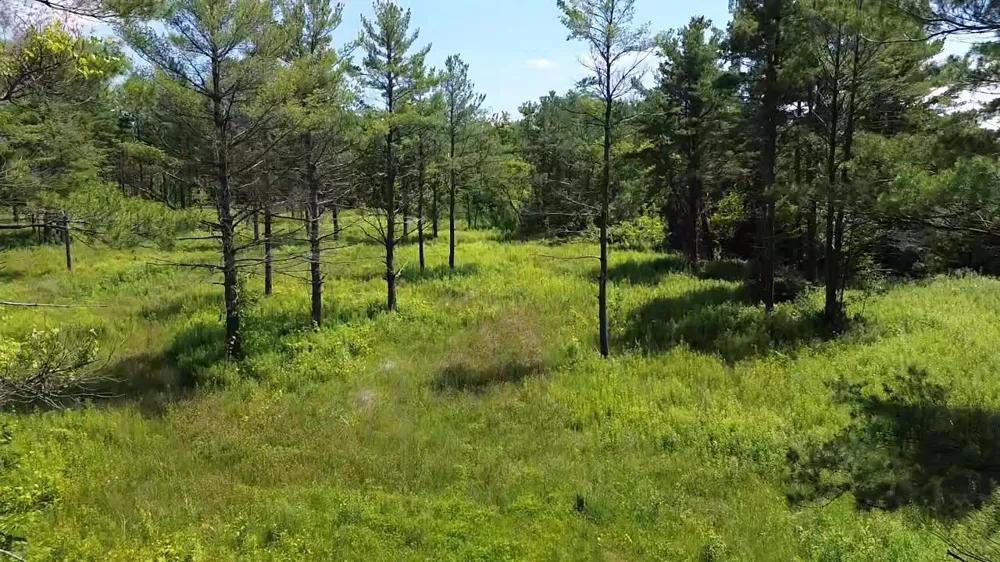S US-31 Elk Rapids Township, MI 49629