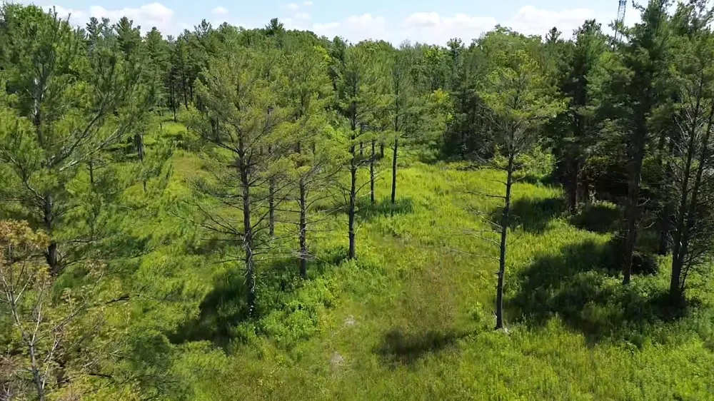 S US-31 Elk Rapids Township, MI 49629