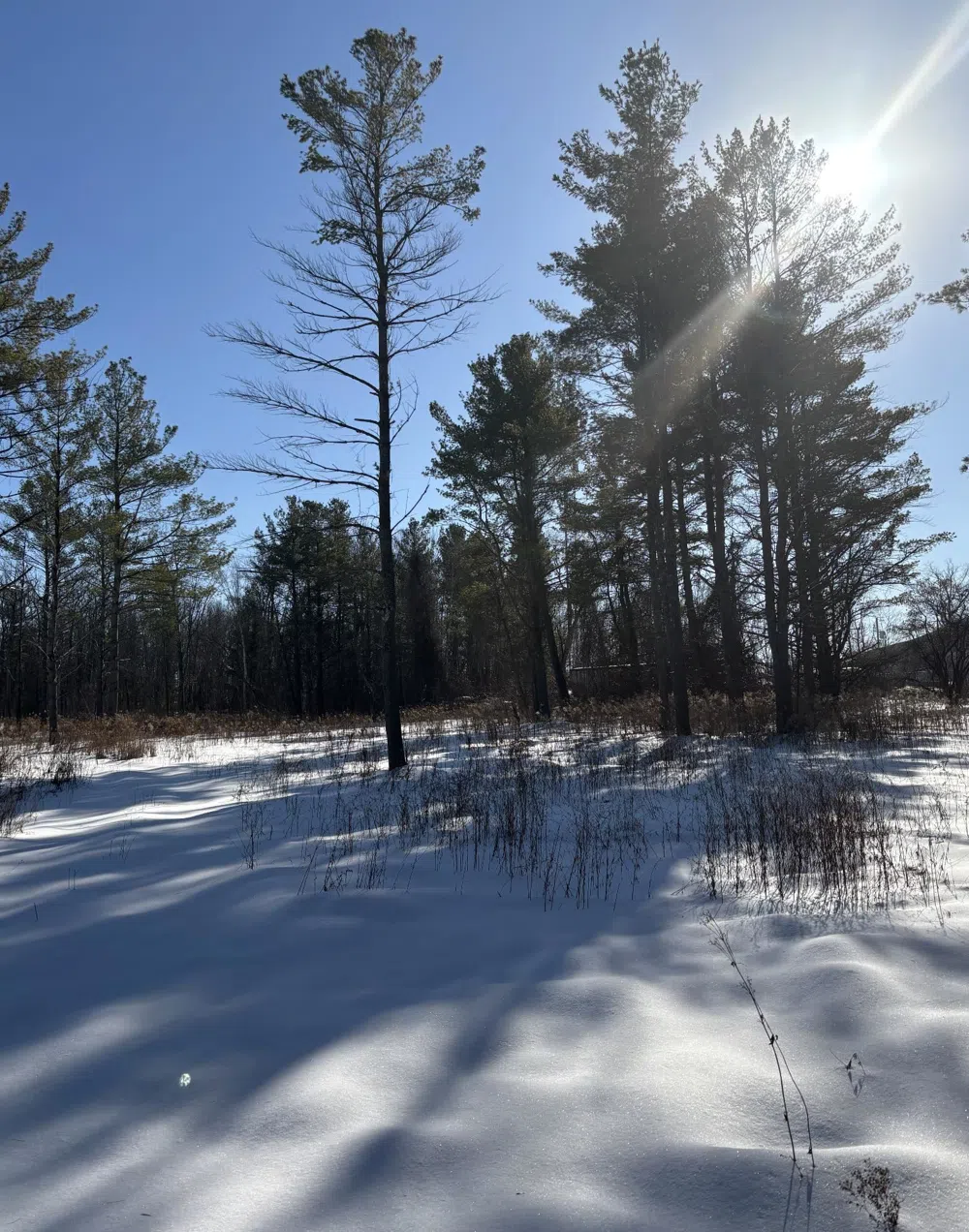 S US-31 Elk Rapids Township, MI 49629