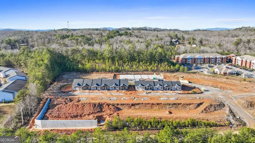 UNIT 1 Grove LOOP Blue Ridge, GA 30513