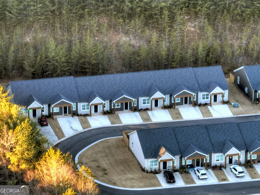 UNIT 1 Grove LOOP Blue Ridge, GA 30513