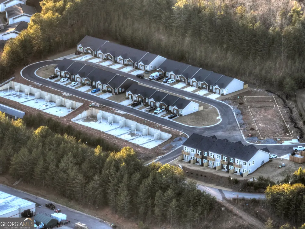 UNIT 1 Grove LOOP Blue Ridge, GA 30513