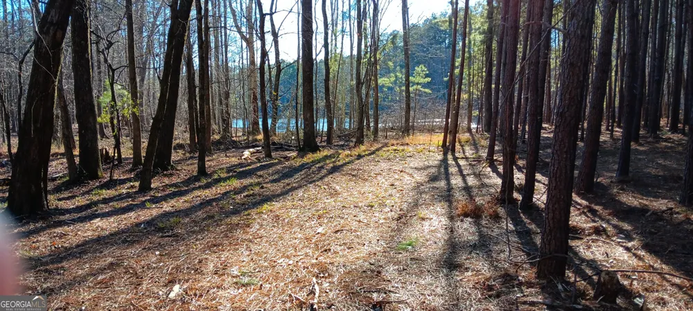 0 Cedardale DR Griffin, GA 30224