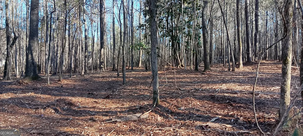 0 Cedardale DR Griffin, GA 30224