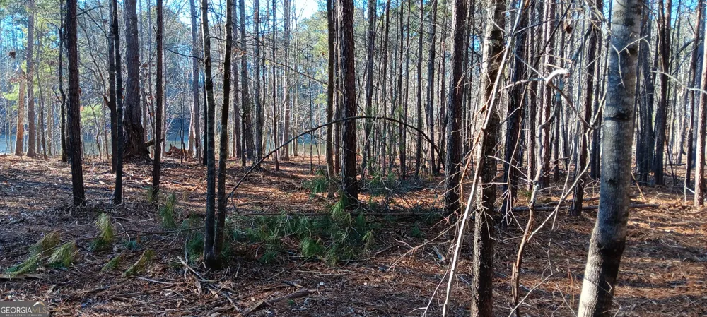 0 Cedardale DR Griffin, GA 30224