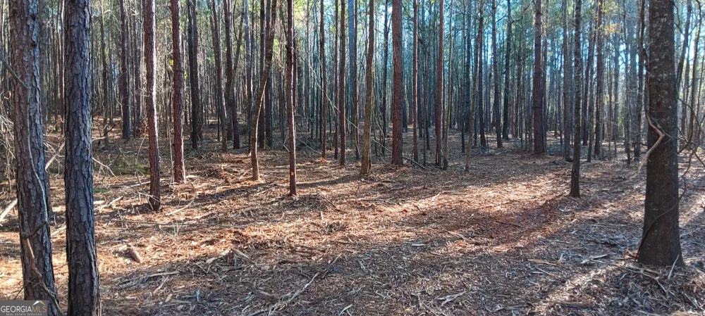 0 Cedardale DR Griffin, GA 30224