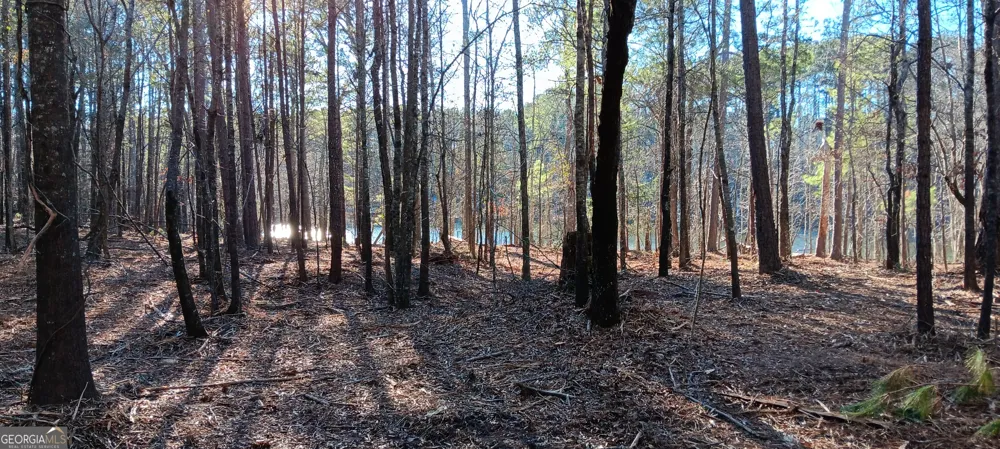0 Cedardale DR Griffin, GA 30224