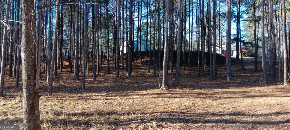 0 Cedardale DR Griffin, GA 30224