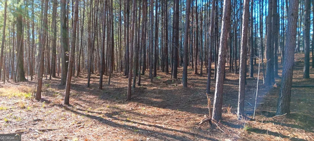 1 Sweetbriar LN Griffin, GA 30224