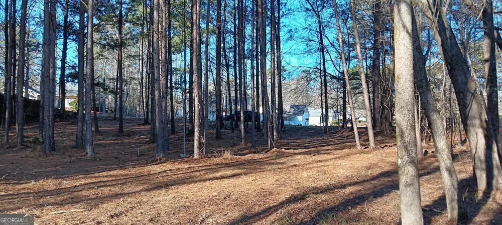 1 Sweetbriar LN Griffin, GA 30224