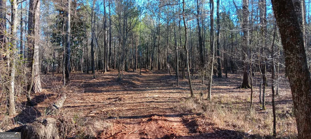 TRACT D Cedardale Drive/sweetbriar LN Griffin, GA 30224