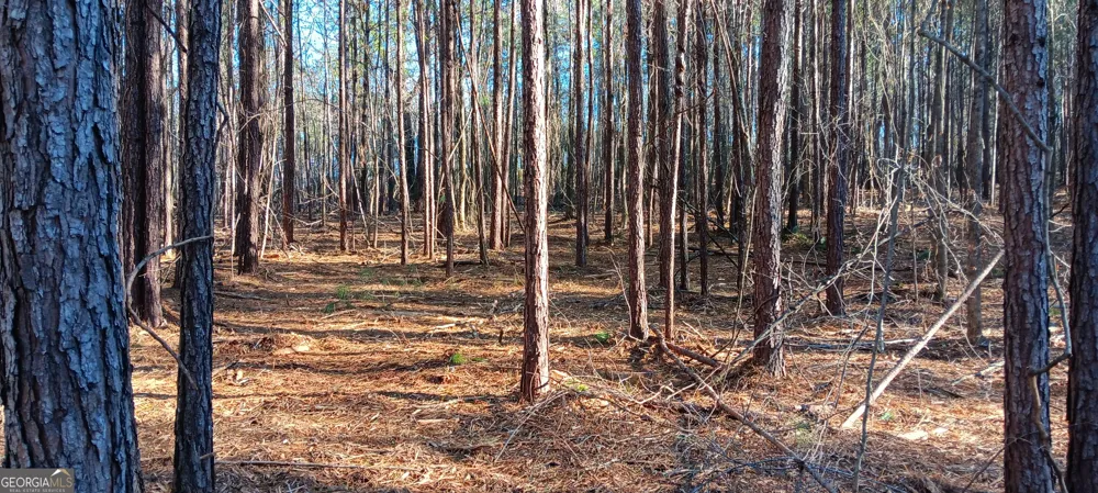 TRACT D Cedardale Drive/sweetbriar LN Griffin, GA 30224