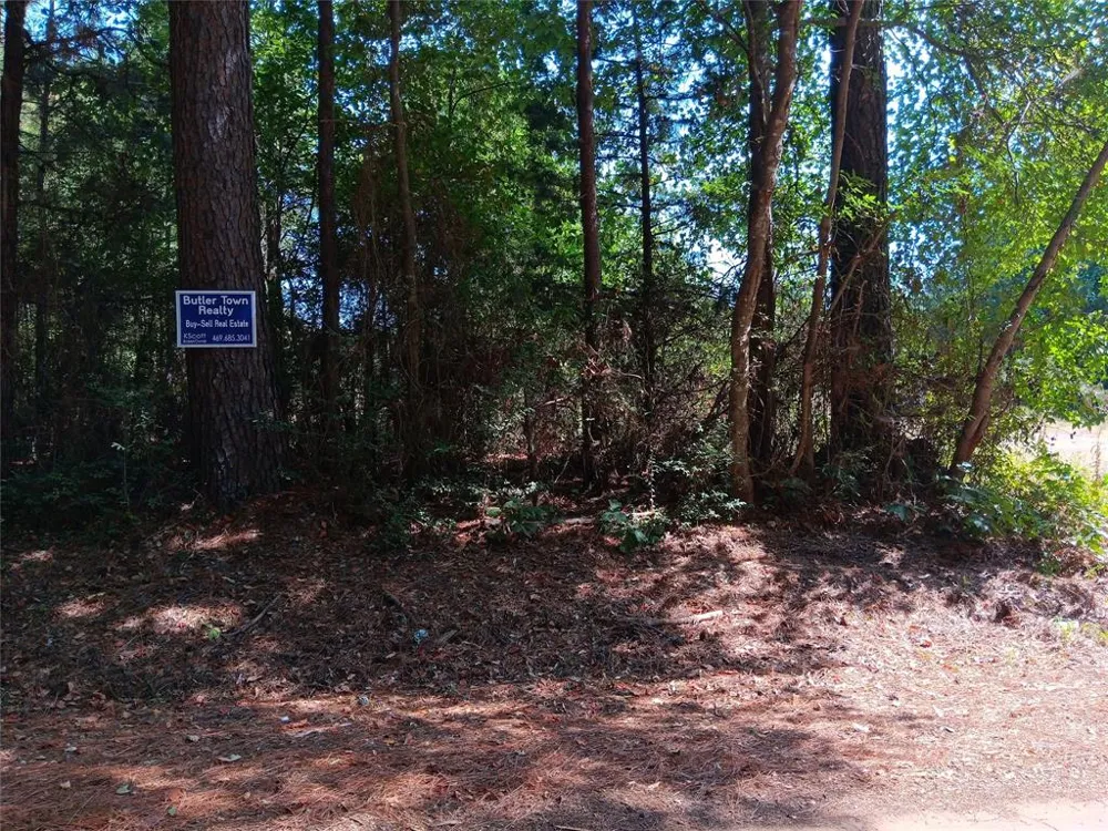 County Road 223 Carthage, TX 75633