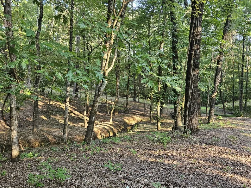 7105 Rodessa Ida Road Ida, LA 71044