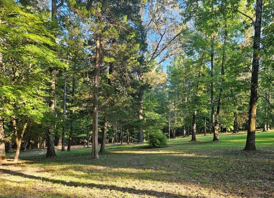 7105 Rodessa Ida Road Ida, LA 71044