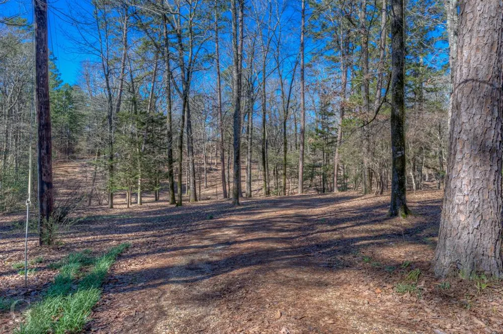 7105 Rodessa Ida Road Ida, LA 71044