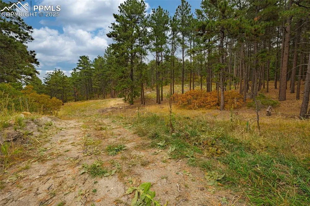 14420 S Perry Park Road Larkspur, CO 80118