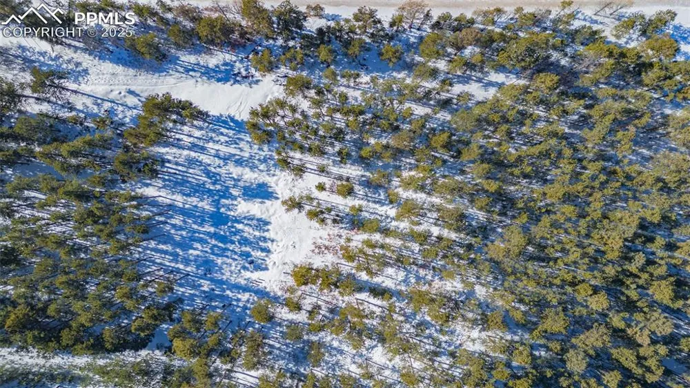 14420 S Perry Park Road Larkspur, CO 80118