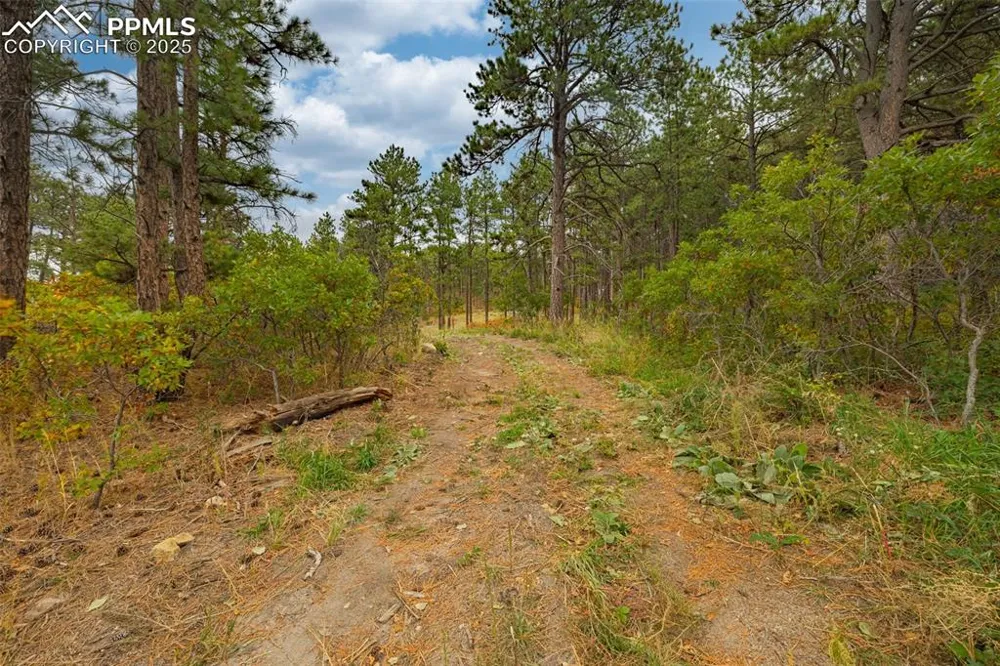 14420 S Perry Park Road Larkspur, CO 80118