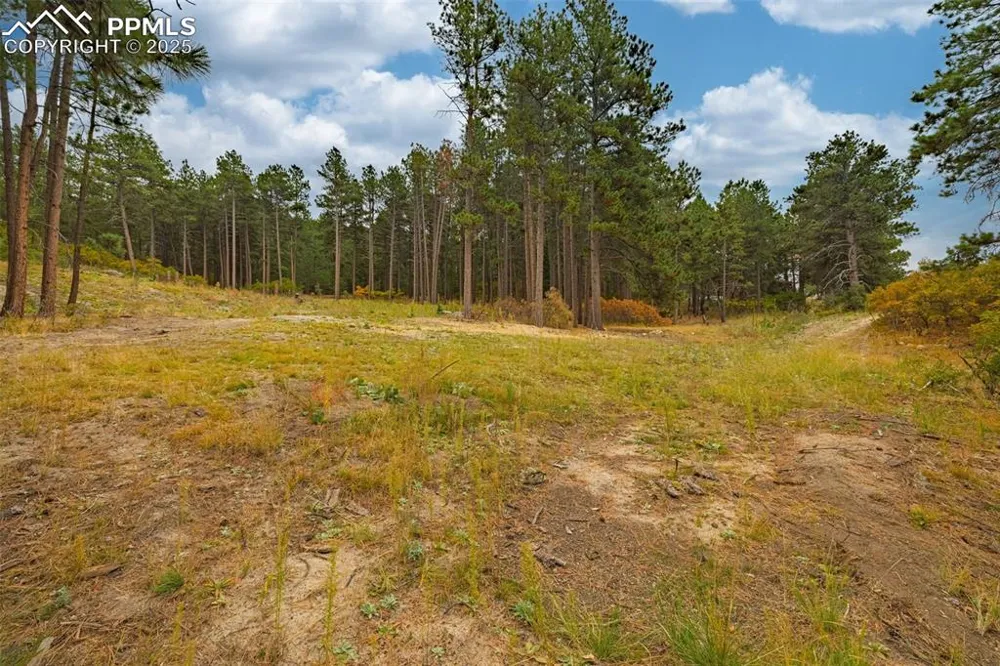 14420 S Perry Park Road Larkspur, CO 80118