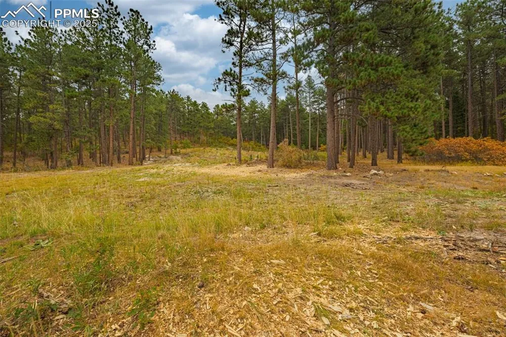 14420 S Perry Park Road Larkspur, CO 80118