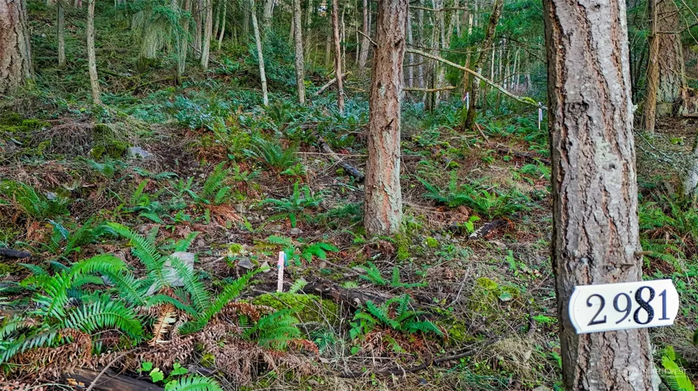 2981 Hales Passage Drive Lummi Island, WA 98262