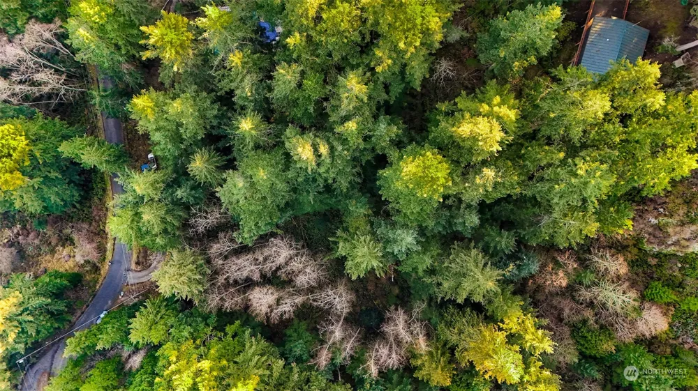 2981 Hales Passage Drive Lummi Island, WA 98262