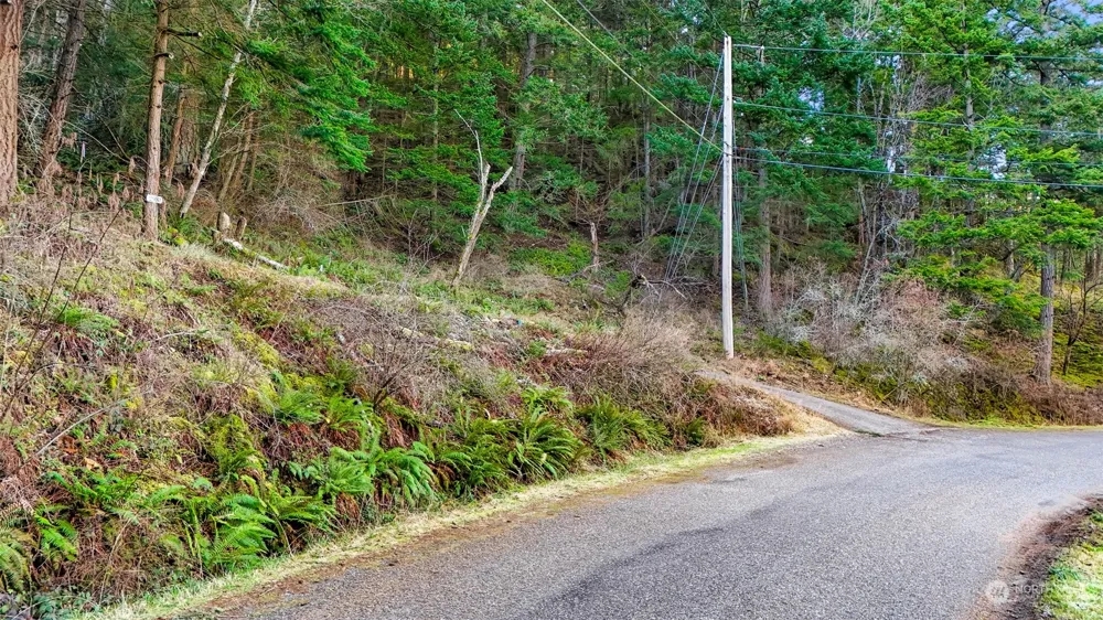 2981 Hales Passage Drive Lummi Island, WA 98262