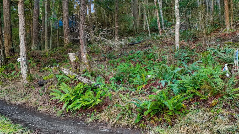 2981 Hales Passage Drive Lummi Island, WA 98262