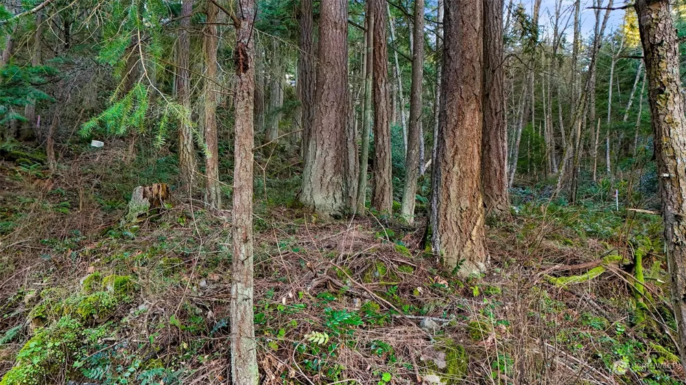 2981 Hales Passage Drive Lummi Island, WA 98262