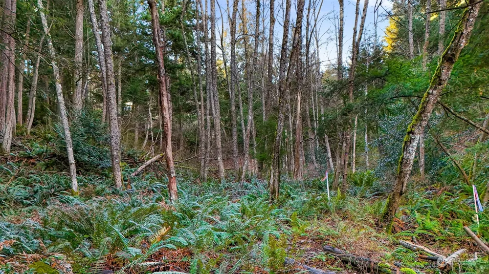 2981 Hales Passage Drive Lummi Island, WA 98262
