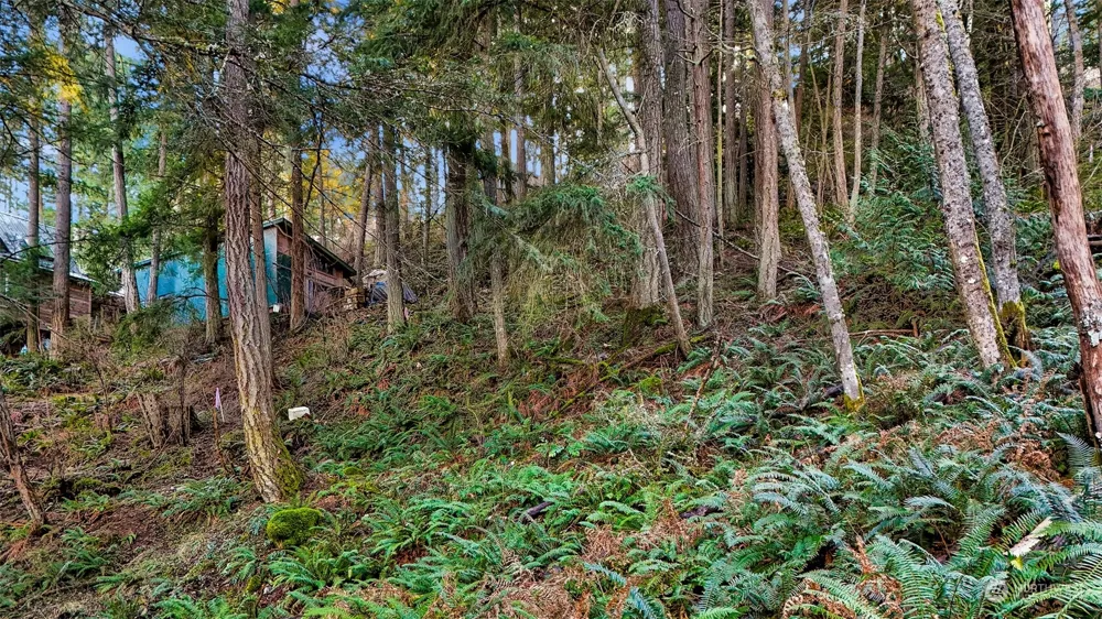2981 Hales Passage Drive Lummi Island, WA 98262